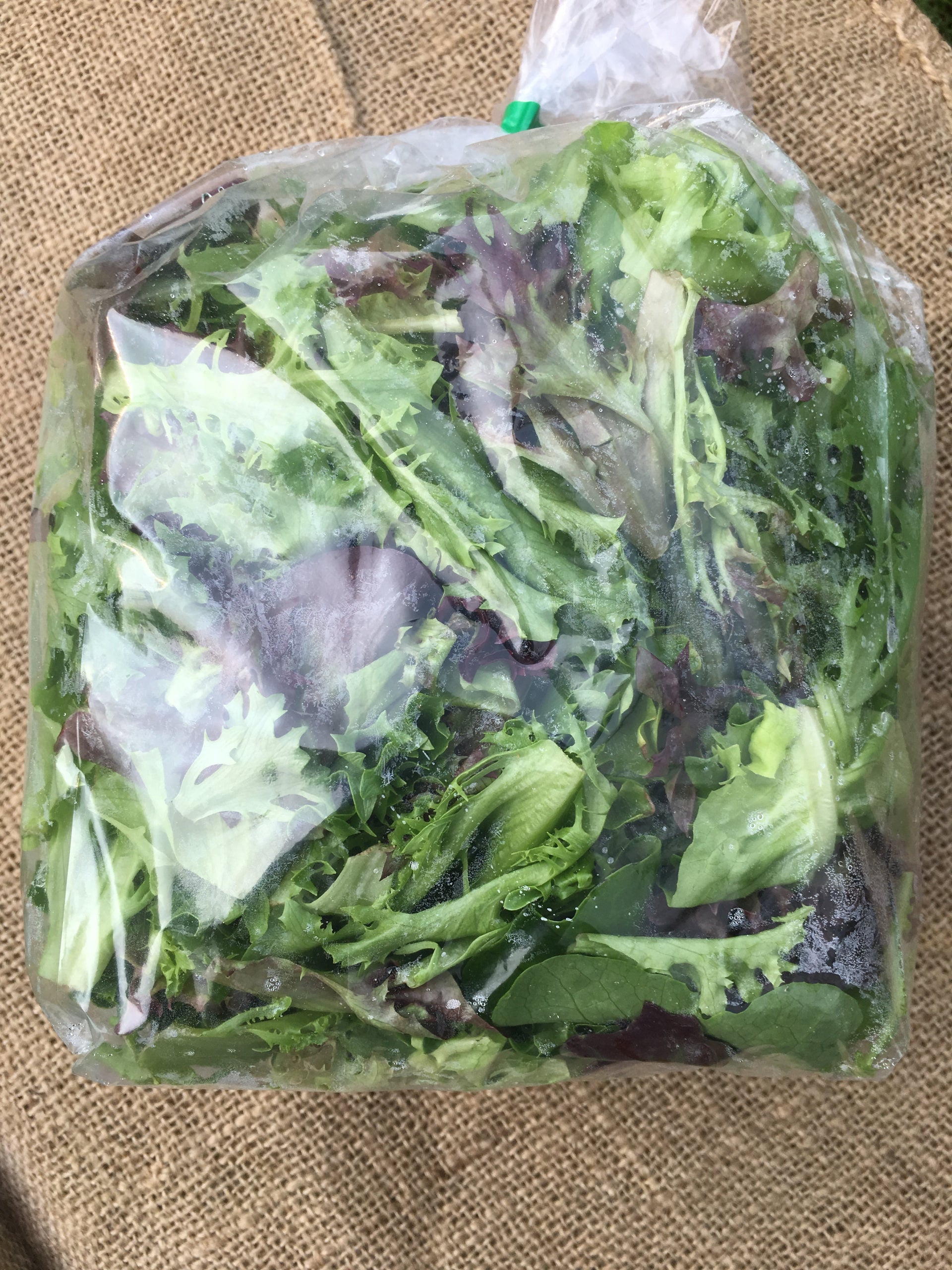 Wicketted Iceberg Lettuce bag - In Stock Now For Delivery